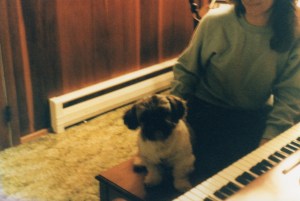 img007