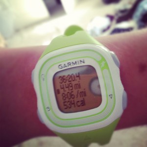 garmin