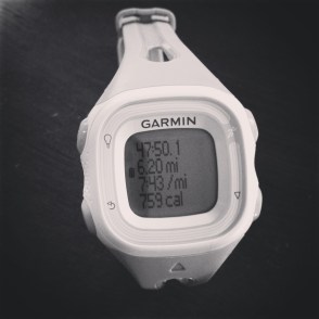 garmin2
