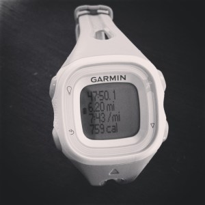 garmin2