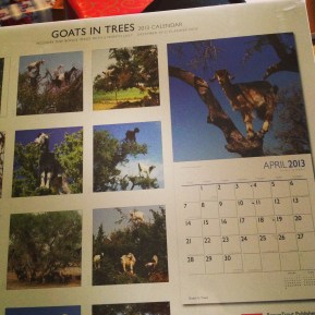 goatsintrees