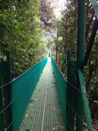 bridge