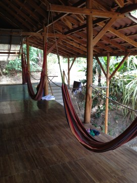 hammock