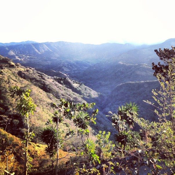 mountain