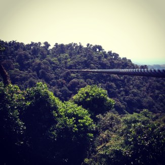 zipline2