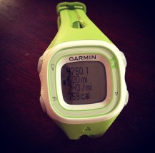 garmin