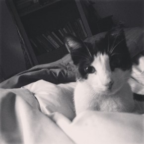 nora